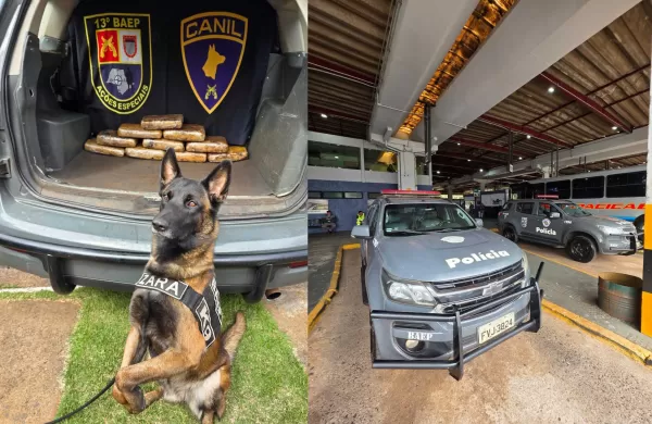 Jovem é presa com quase 11 kg de maconha durante operação do K9 do BAEP na Rodoviária de Ourinhos