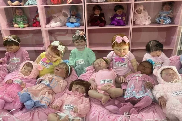 Projeto de lei propõe multa para uso indevido de bebês reborn em busca de privilégios