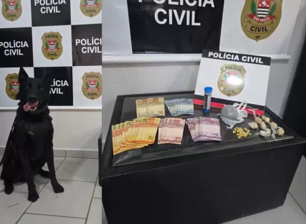 Polícia Civil realiza operação contra o tráfico de drogas em Chavantes, com o apoio da GCM de Ourinhos