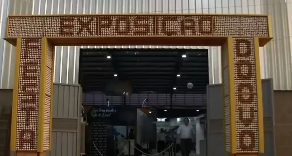 Confirmados casos de gripe aviária em SP levam ao cancelamento da 64ª Festa do Ovo de Bastos