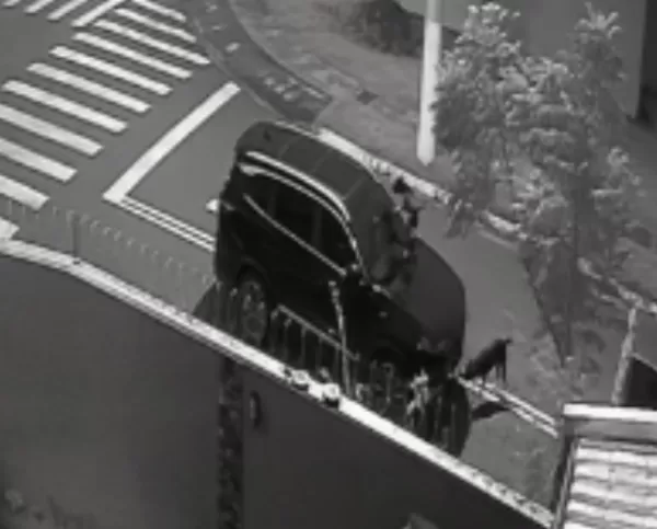 Moradora reclama de grande quantidade de cães soltos no Pacaembu após carro ser danificado em Ourinhos