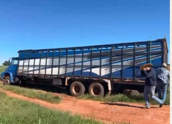 Pecuarista registra furto de caminhão levado de sua residência em Campos Novos Paulista