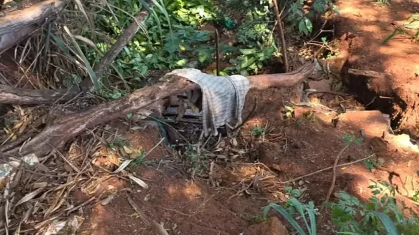 Homem é encontrado morto em área próximo a córrego em Macatuba