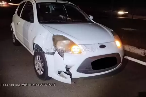 Homem morre atropelado por dois veículos na SP-294 