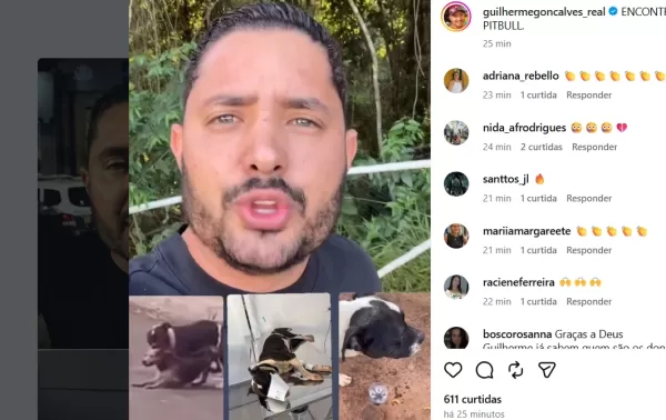 Prefeitura de Ourinhos captura segundo pitbull envolvido em ataques e intensifica busca por tutor