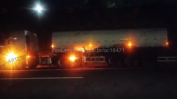 Carreta atropela cavalo na SP-225 em Bauru; animal morreu no local