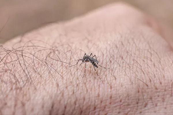Ourinhos realiza Semana de Mobilização contra a Dengue com ações educativas e mutirões em vários bairros