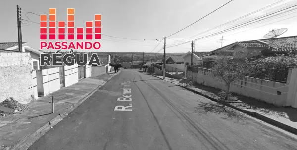 Homem denuncia possível envenenamento de gato e acusa vizinha em Ourinhos