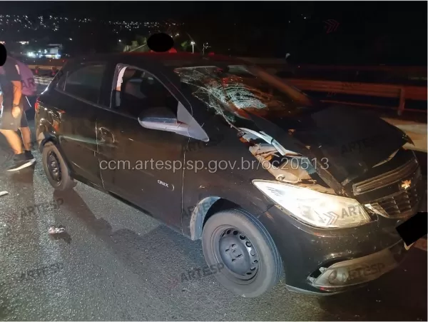 Pedestre morre após ser atropelada na SP-294 em Marília; passarela ficava a cerca de 200 metros