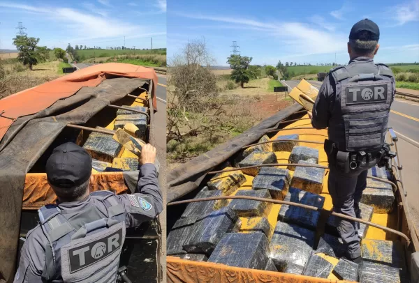 Policiamento Rodoviário e FICCO/SP apreendem grande quantidade de maconha na Raposo Tavares, em Bernardino de Campos