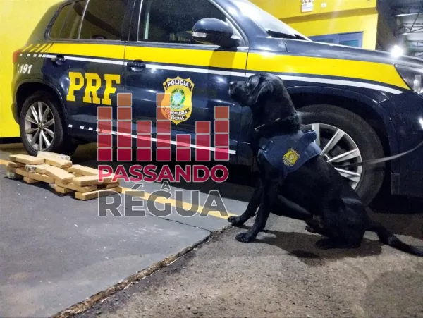 PRF apreende 20 tijolos de maconha e prende mulher em ônibus na BR-153 em Ourinhos