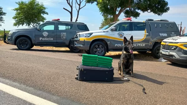 Homem é preso com quase 8 kg de maconha em ônibus na Rodovia Orlando Quagliato, em Ourinhos