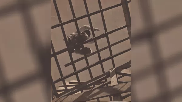 João Neto: Os olhos do meu avô 