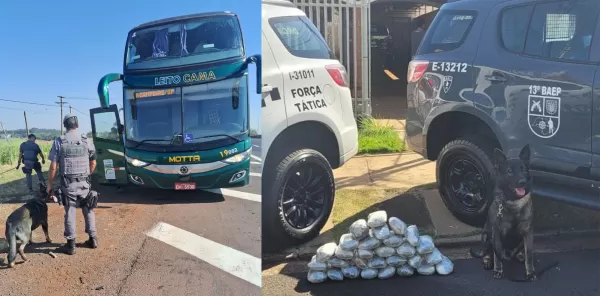 BAEP e Força Tática prendem três por tráfico de drogas na Rodovia Raposo Tavares em Ourinhos