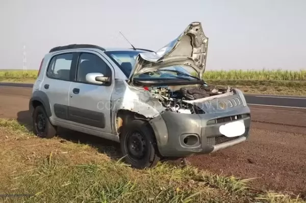 Funcionário terceirizado de concessionária morre atropelado em rodovia na região 