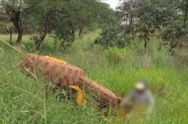 Produtor rural morre esmagado por trator em Fartura