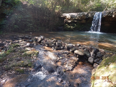 Grupo é atacado por enxame de abelhas durante churrasco em cachoeira de Ibirarema
