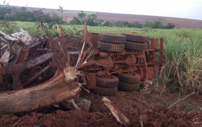 Dois homens morrem após caminhão bater contra árvore em vicinal na região 