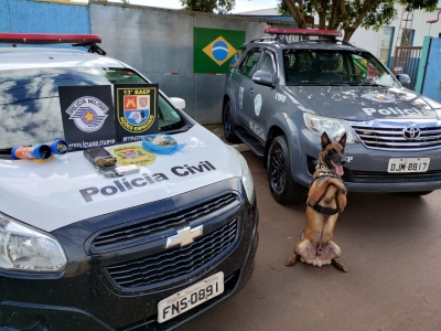 Com ajuda de cão farejador, homem é preso por tráfico de drogas em Bernardino de Campos
