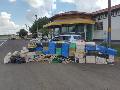 Polícia Rodoviária apreende mais de 1 tonelada de maconha e grande quantidade de skunk e haxixe na Orlando Quagliato, em Santa Cruz do Rio Pardo 