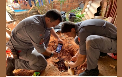 Filhote de cão fica preso em tubulação e é resgatado pelos bombeiros na região; vídeo