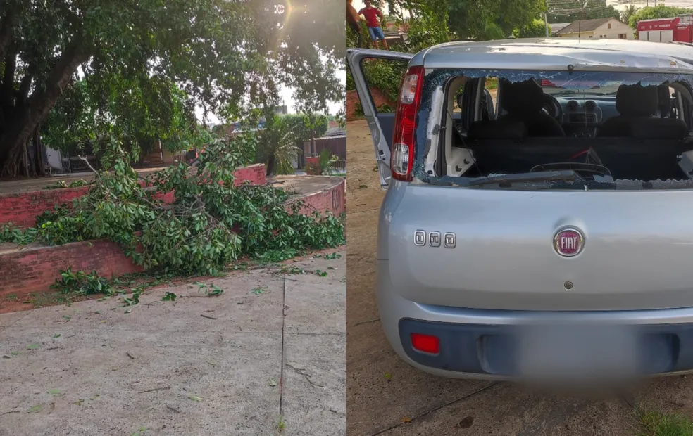 Mulher morre após ser atingida por galho durante ventania na região 