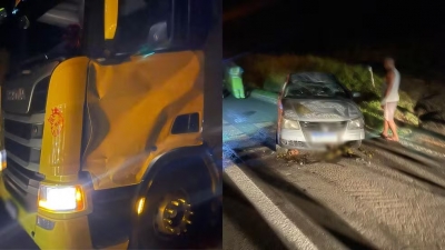 Cavalo invade pista, é atropelado duas vezes e causa série de acidentes em rodovia na região 