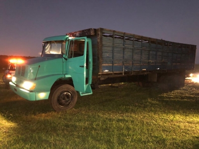 PRF consegue evitar furto de gado avaliado em mais de R$60 mil na BR-153