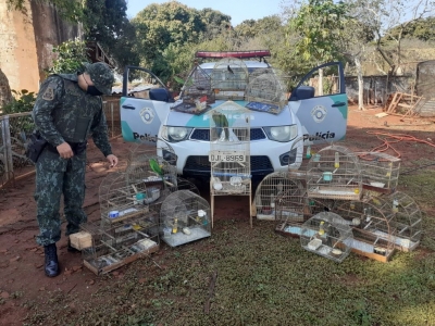 Polícia Ambiental multa mulher em R$ 22 mil por manter pássaros em cativeiro em Santa Cruz 