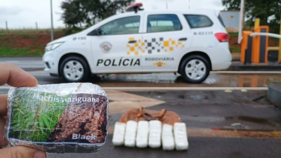 Trio é preso com haxixe em Santa Cruz do Rio Pardo