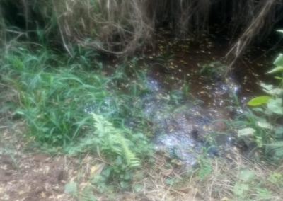 Corpo de homem em decomposição é encontrado em córrego em fazenda entre Ourinhos e Canitar 