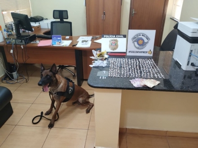 Mulher é presa por Tráfico de drogas, em operação conjunta das Polícias Militar, Civil e apoio do K9  DO 13º BAEP