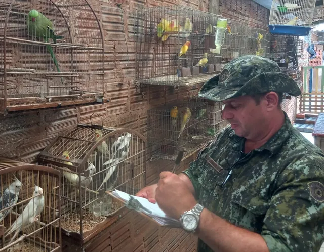 Homem é multado em mais de R$ 13 mil por manter aves exóticas em cativeiro na região