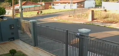Mulher reage a roubo e ladrão é preso em Santa Cruz do Rio Pardo; vídeo 
