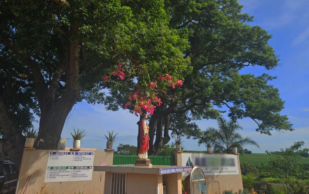 Árvore só floresce sobre a imagem de Jesus e intriga em Santa Cruz do Rio Pardo