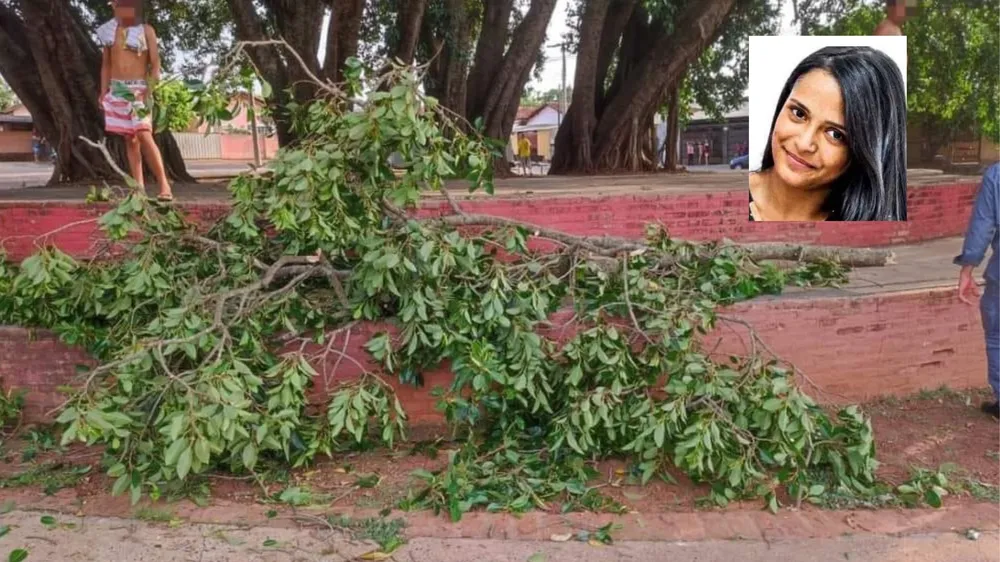 Ventania de 55 km/h derrubou galho que atingiu criança e matou mãe na região, aponta Defesa Civil