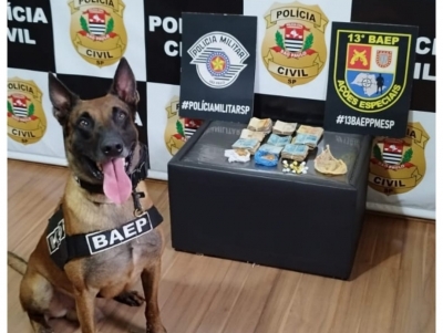 Três são presos no Jardim Itamaraty em Ourinhos em ação conjunta da Polícia Civil, Força Tática e K9 do 13º BAEP 