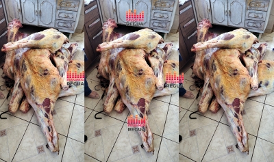 Casal é preso em Bernardino de Campos por crime contra as relações de consumo