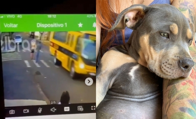 Vídeo mostra suspeitos furtando filhote de pitbull em Ourinhos 