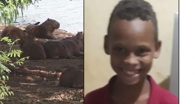 Prefeitura de Ipaussu confirma morte de criança de 8 anos por febre maculosa