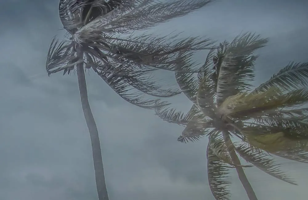 Ciclone no sul do país deve causar ventos de até 90km/h no interior de SP, alerta Defesa Civil