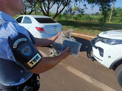  Homem é preso com grande quantidade skunk na Raposo Tavares 