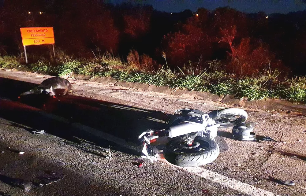 Motociclista atropela animal solto na pista e morre em vicinal na região 
