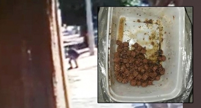 Acusados de matar gatos envenenados na região podem ter que pagar quase R$ 160 mil para ONG de defesa animal