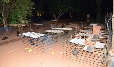 Homem é multado em mais de R$ 200 mil por promover rinhas de galos na região 