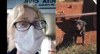 Vereadora registra boletim de ocorrência contra homem que deixou cãozinho amarrado em fio na chuva em Ourinhos 