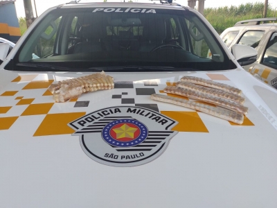 Casal com criança de 2 anos é preso transportando cocaína em ônibus fiscalizado na Orlando Quagliato 
