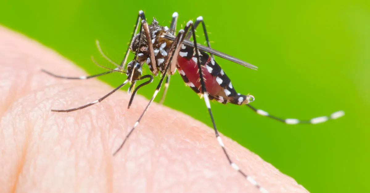 Homem de 32 anos morre por dengue na região 