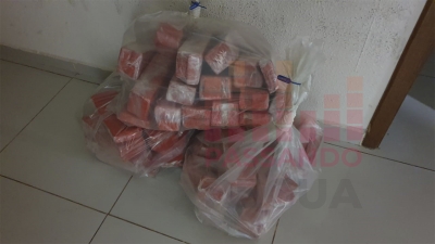 Cão farejador da PRF encontra 70 tabletes de maconha dentro de ônibus que passava por Ourinhos