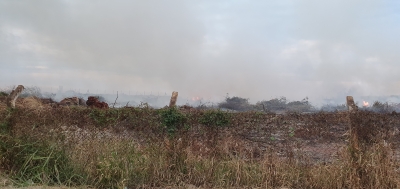 Queimada de galhadas irregular acontece mais uma vez em Ourinhos
